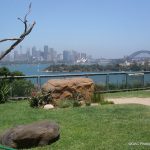 Sydney Opera House