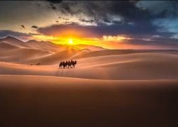 Mongolia 7-day tour