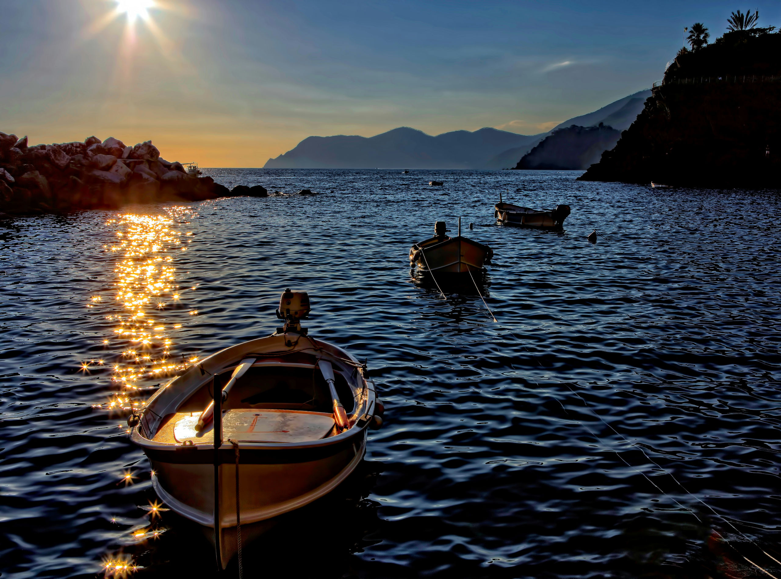 ricardo-gomez-angel-8Z6cW9GW2-k-unsplash Parco Nazionale delle Cinque Terre, Riomaggiore, Italy