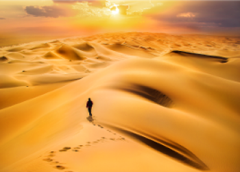 Mongolia 7-day tour