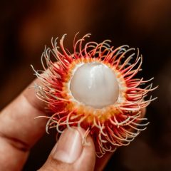 kawe-rodrigues-WZ549r3wy3o-unsplash Rambutan - Amazon fruit, Pará, Brasil