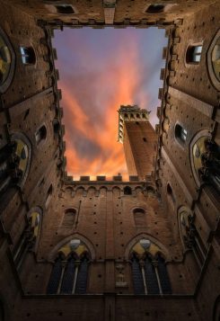 massimiliano-morosinotto-7EYA4Qq6FHY-unsplash-699x1024-245x357
