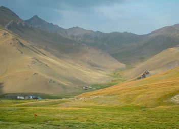 nursultan-abakirov-ausrcpNuUzU-unsplash Zebra, Serengeti, Kilimanjaro, Tazmania