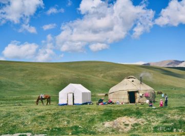 oziel-gomez-qLchd-tax_g-unsplash Zebra, Serengeti, Kilimanjaro, Tazmania