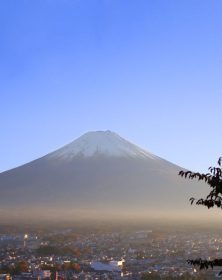 pexels-arkkrapol-anantachote-japan-222x280 Elephant, Serengeti, Kilimanjaro, Tanzania, Safari